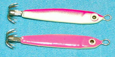 Pink Squid Teaser